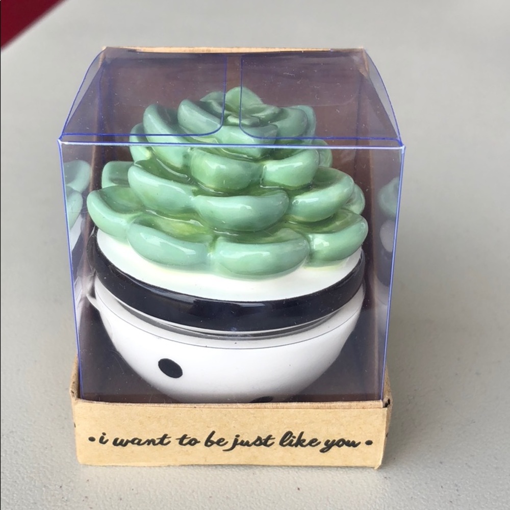 Cactus 🌵 container